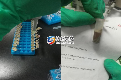 <a href=http://www.bet111.cn/prouduct/lengdong/ target=_blank class=infotextkey>冷凍研磨儀</a>