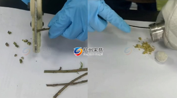 植物組織研磨儀對(duì)樹枝前處理實(shí)驗(yàn)案例