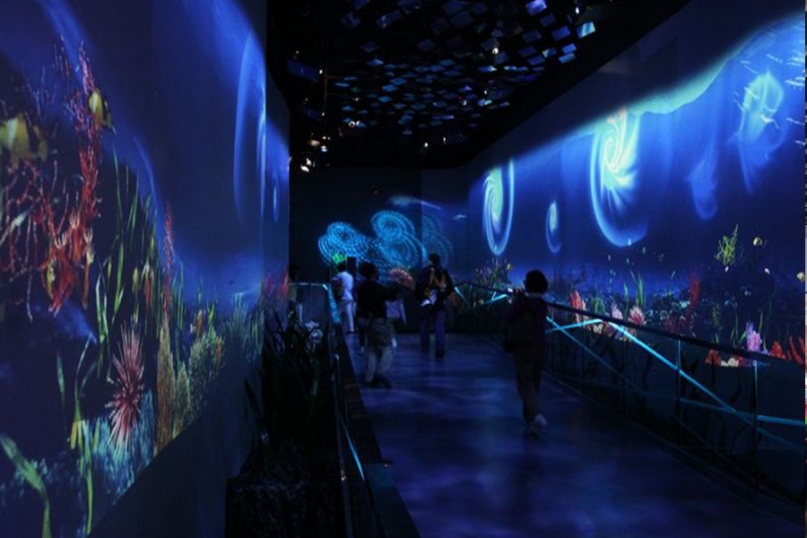 行業(yè)動態(tài)