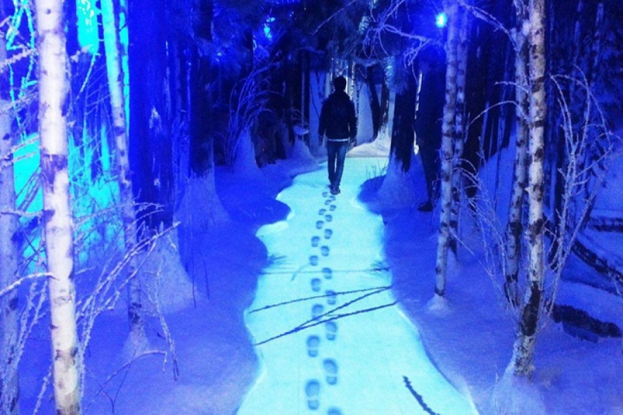 行業(yè)動態(tài)